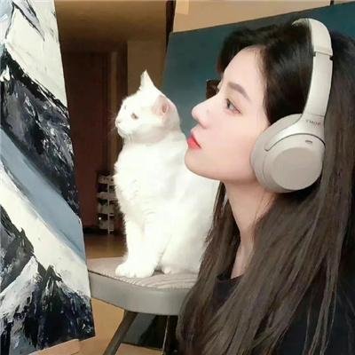 情牵紫罗兰