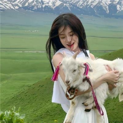 艾米丽的美国化